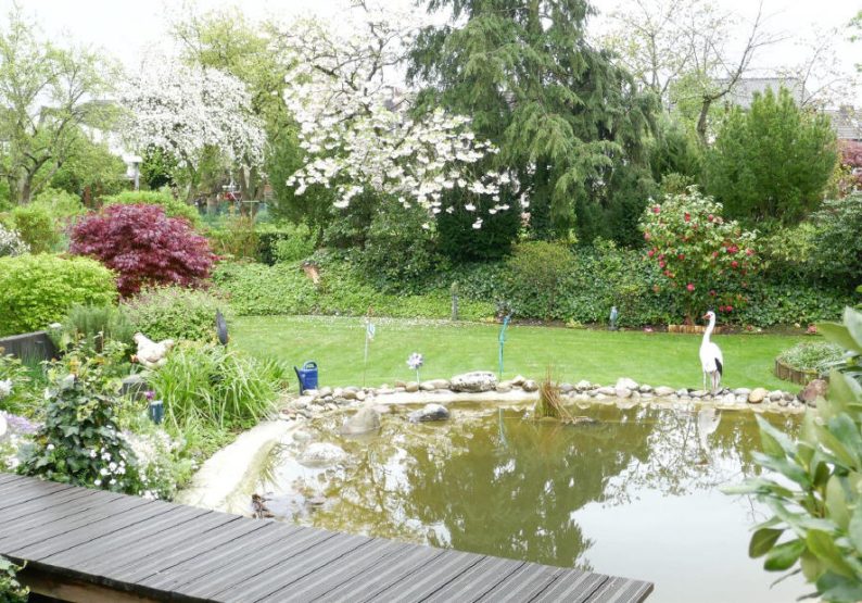 Teich